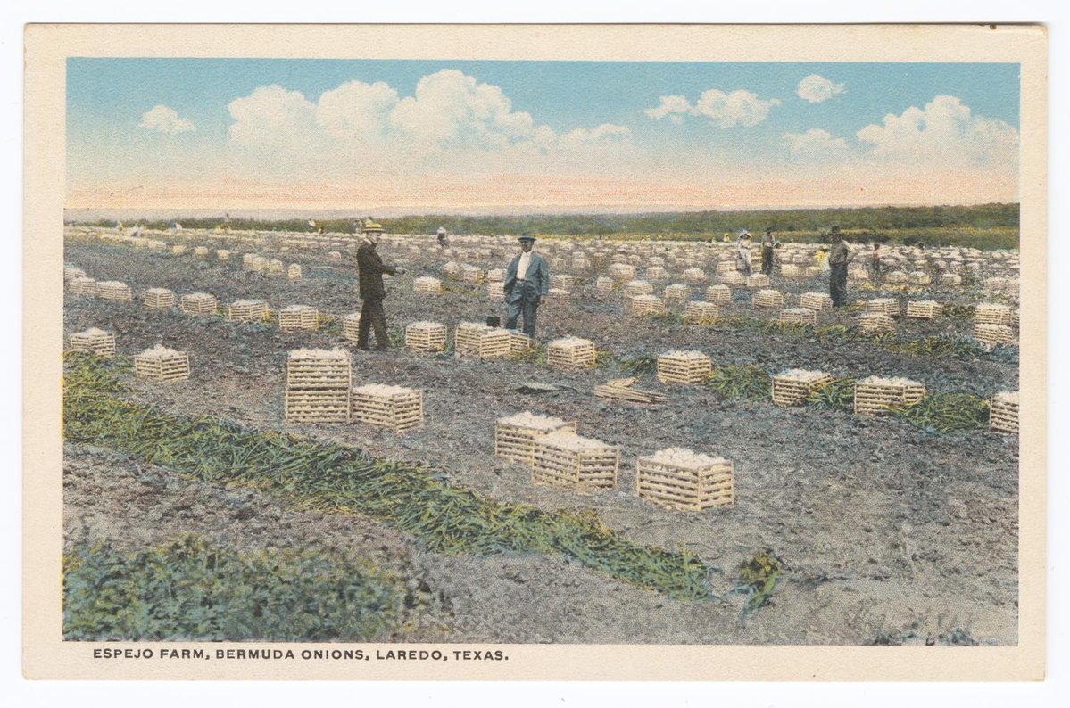 UNT Libraries tweet media