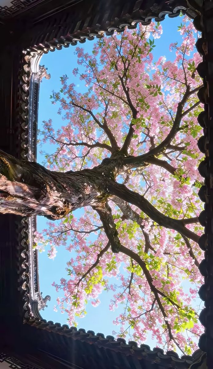 aesthetic (@purepeaceful) on Twitter photo 