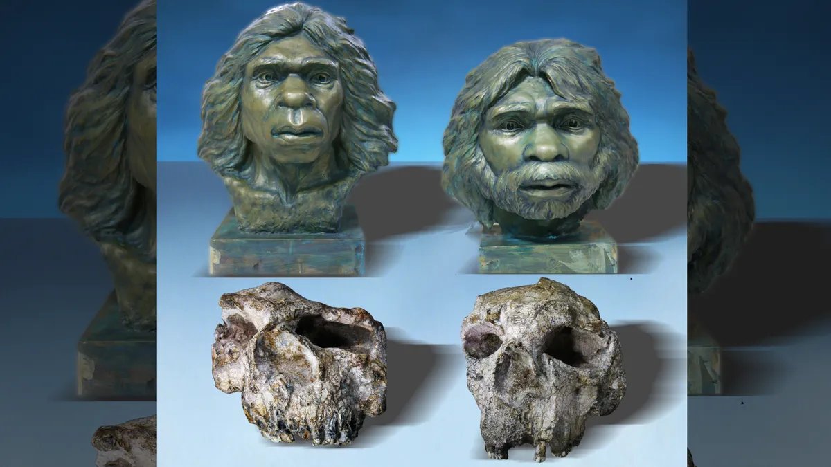 🚨Three Homo erectus skulls unearthed in China are almost 1.8 million years old

600,000 years older than originally thought