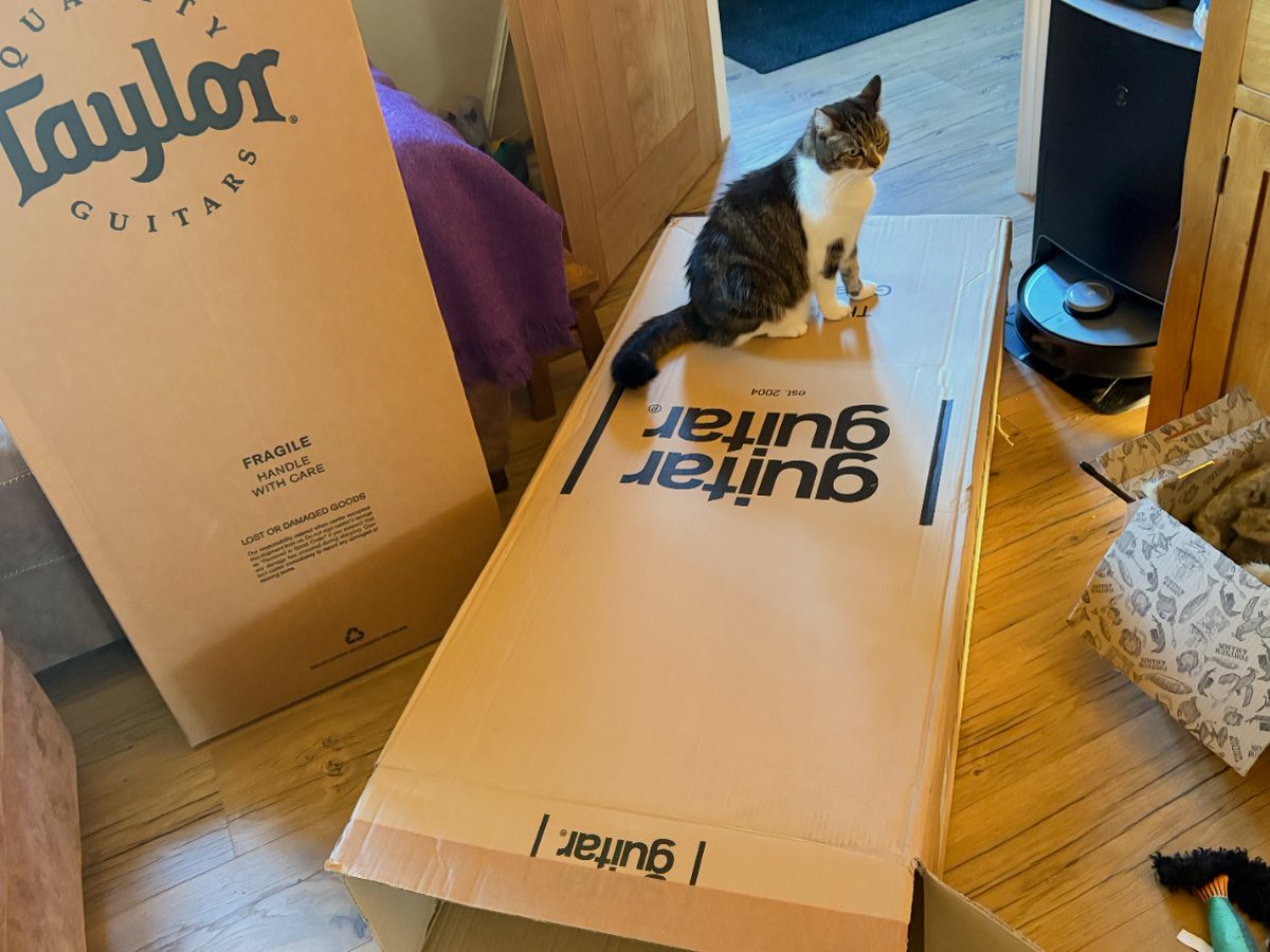 Alex Toft tweet media