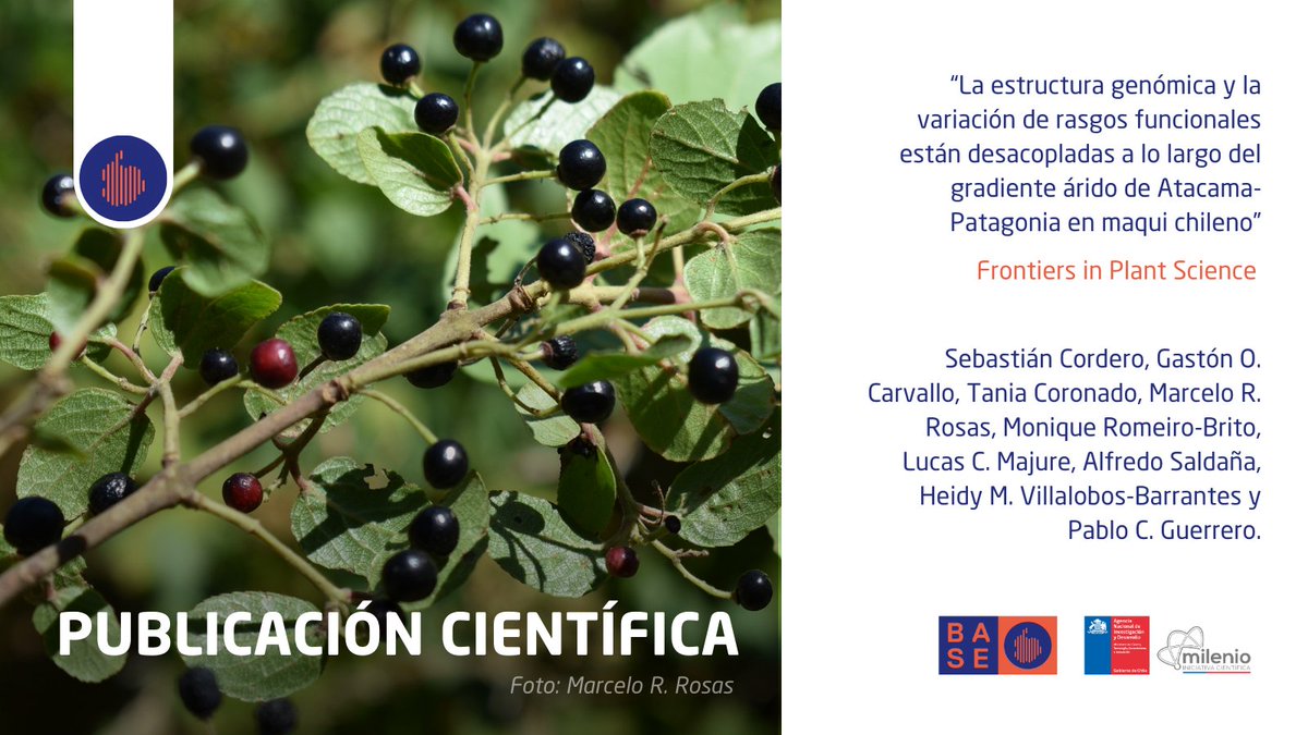 Instituto Milenio BASE tweet media