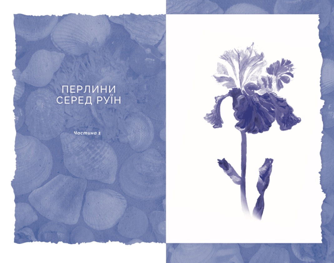 Iryna_Malynivna's tweet photo. Твітер, я відкрила профіль, щоб сказати вам, що почалося передзамовлення моєї другої збірки віршів «Мушлеве небо»
Буду вдячна за репости, замовлення та підтримку ❤️
Книга дуже красива!
https://t.co/m06W5Nyw6P https://t.co/imia8zUwD4