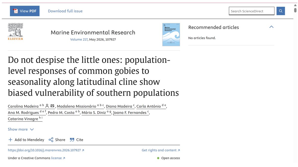 Carolina Madeira tweet media