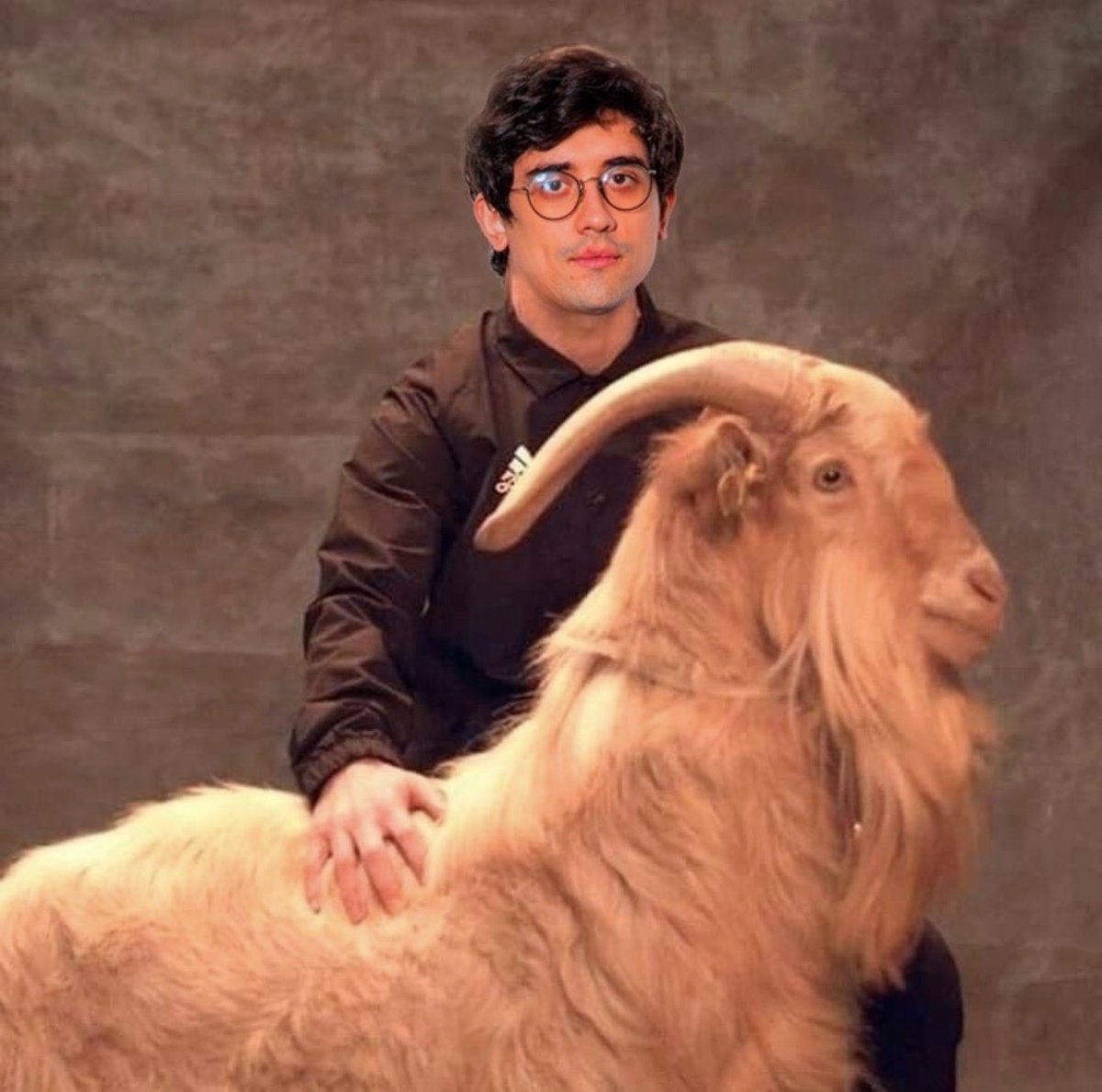 Team Liquid Alienware tweet media