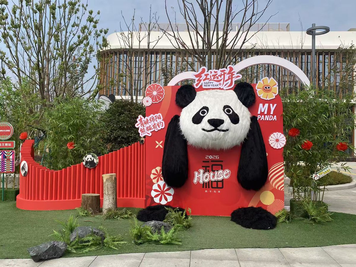 chuanxpanda's tweet image. 🌺🌺🎉🎉HAPPY CHINESE NEW YEAR WITH PANDAS IN MIANYANG PANDA BASE!!! 🧧🧧🐼🐼 #MIANYANG #PANDABASE #MIANYANGPANDA #pandabears #osopanda #pandagigante #newyear2026 #chinesenewyear #chuanxpanda #añonuevo #felizaño #felicidades