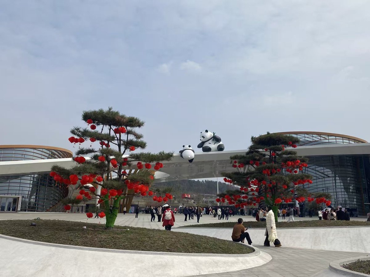 chuanxpanda's tweet image. 🌺🌺🎉🎉HAPPY CHINESE NEW YEAR WITH PANDAS IN MIANYANG PANDA BASE!!! 🧧🧧🐼🐼 #MIANYANG #PANDABASE #MIANYANGPANDA #pandabears #osopanda #pandagigante #newyear2026 #chinesenewyear #chuanxpanda #añonuevo #felizaño #felicidades