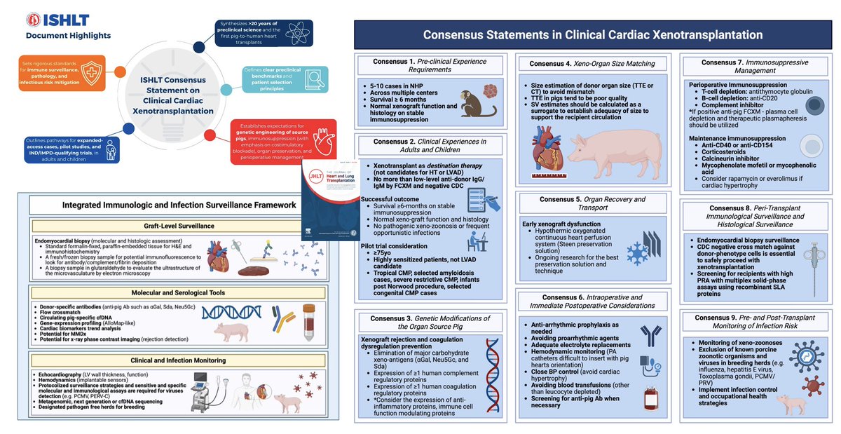 M Velia Antonini tweet media