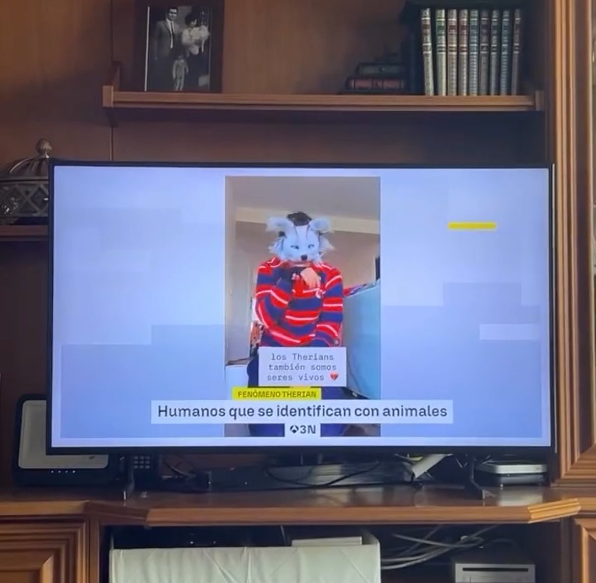 He salido en Antena 3 vestido de Therian, se han pensado que era uno de verdad 😭🙏

Para que veáis lo inútiles, sensacionalistas y amarillistas que son los medios de comunicación hoy en día.