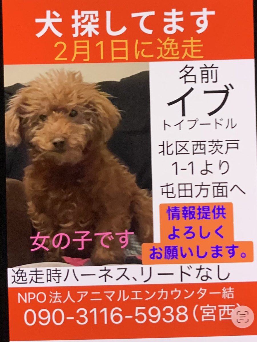 末武敬弘 tweet media