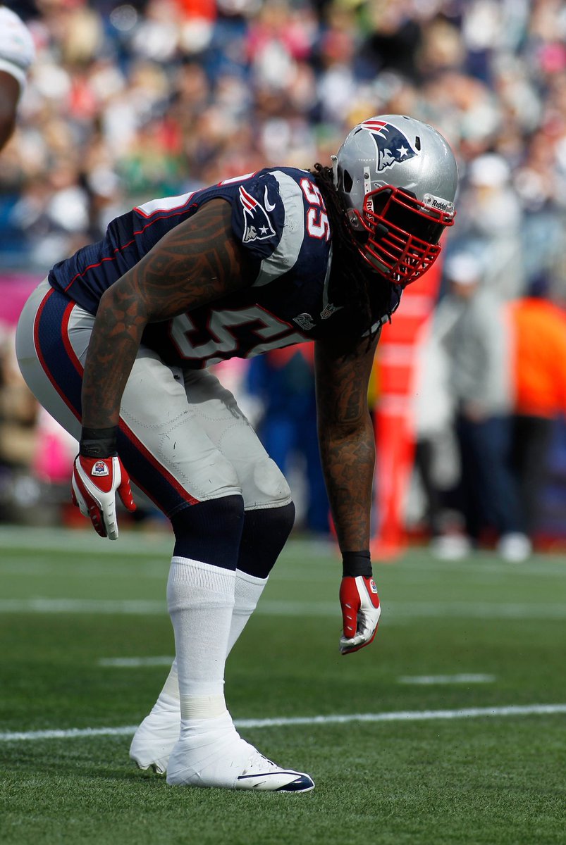 BrandonSpikes55 tweet media