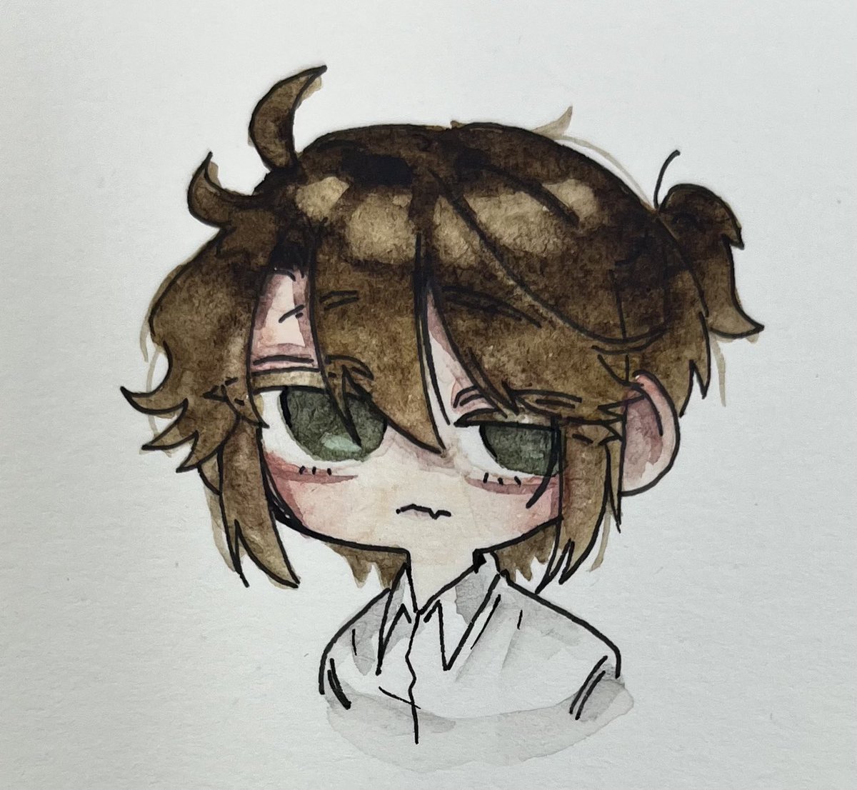 깔끔하게 셔츠입은 루까!!!🦉🦉❤️❤️