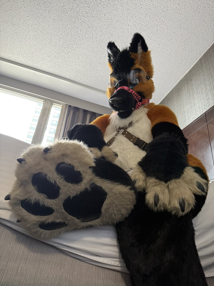 Apollo Shinn @MFF 26 tweet media