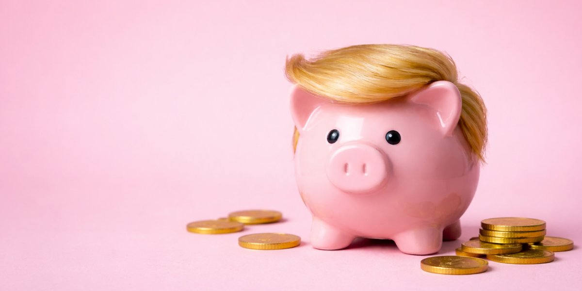 Casey Peterson, LTD tweet media