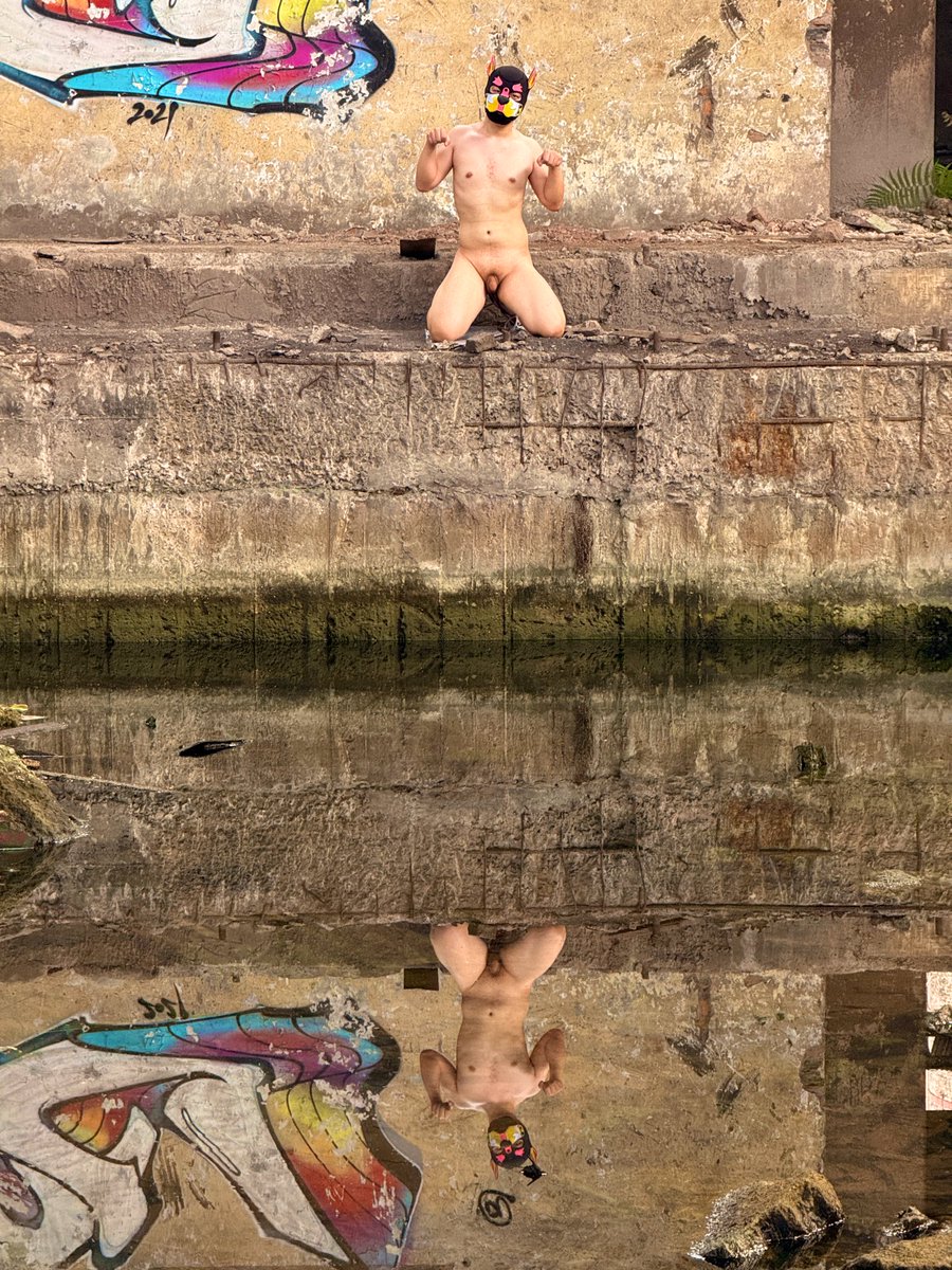 小狗阿诺（Arnotto） tweet media