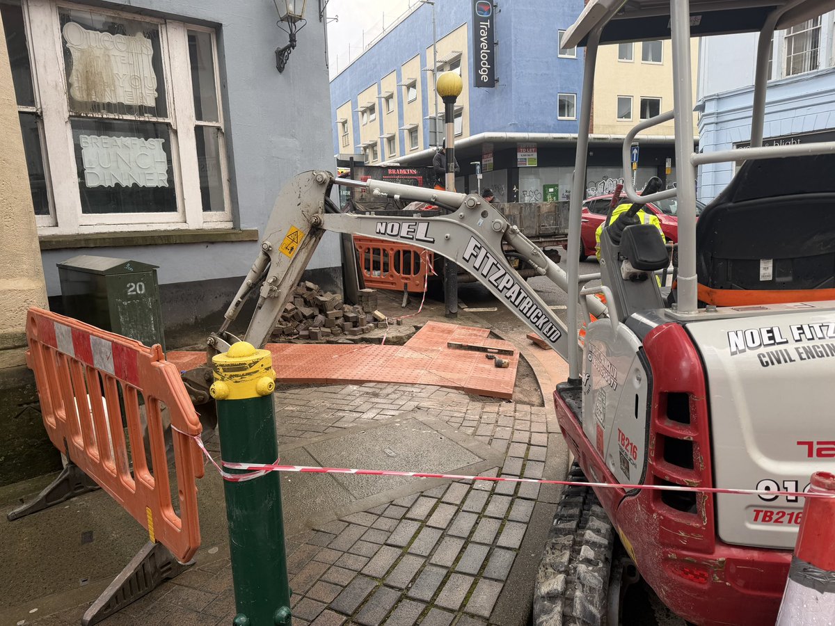 Noel Fitzpatrick Ltd tweet media