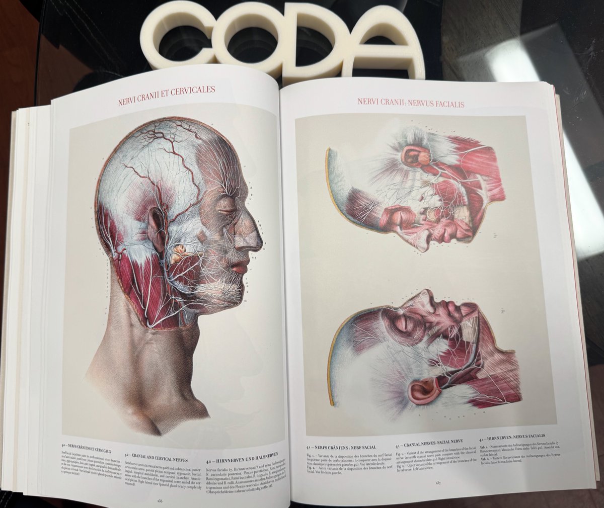 Denis Wirtz tweet media