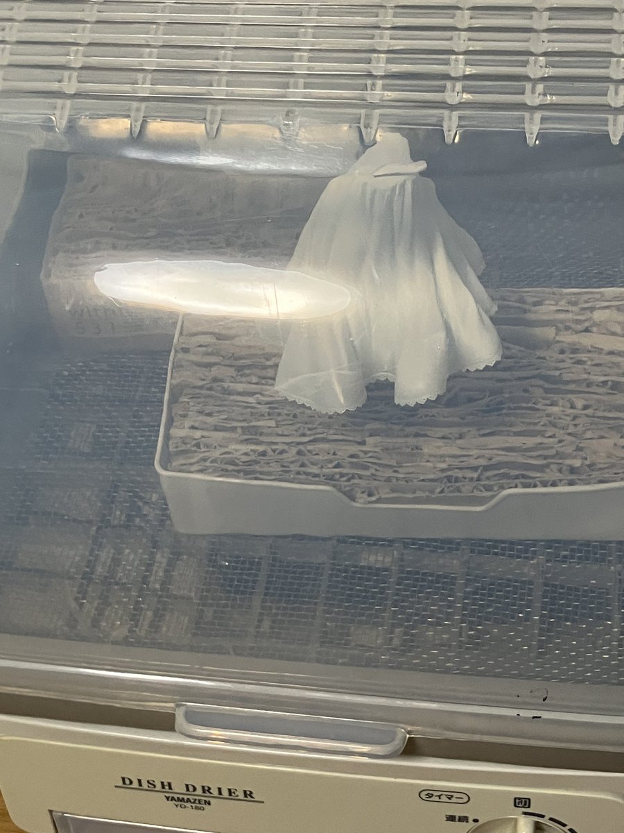 最後のつや消しが終わった！
後は最終組み立てのみ！