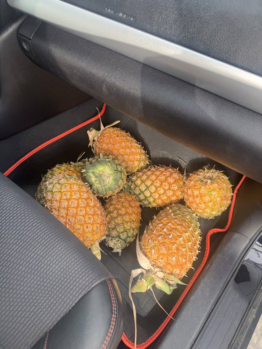 Pharaoh👳🏾‍♂️👑 tweet media