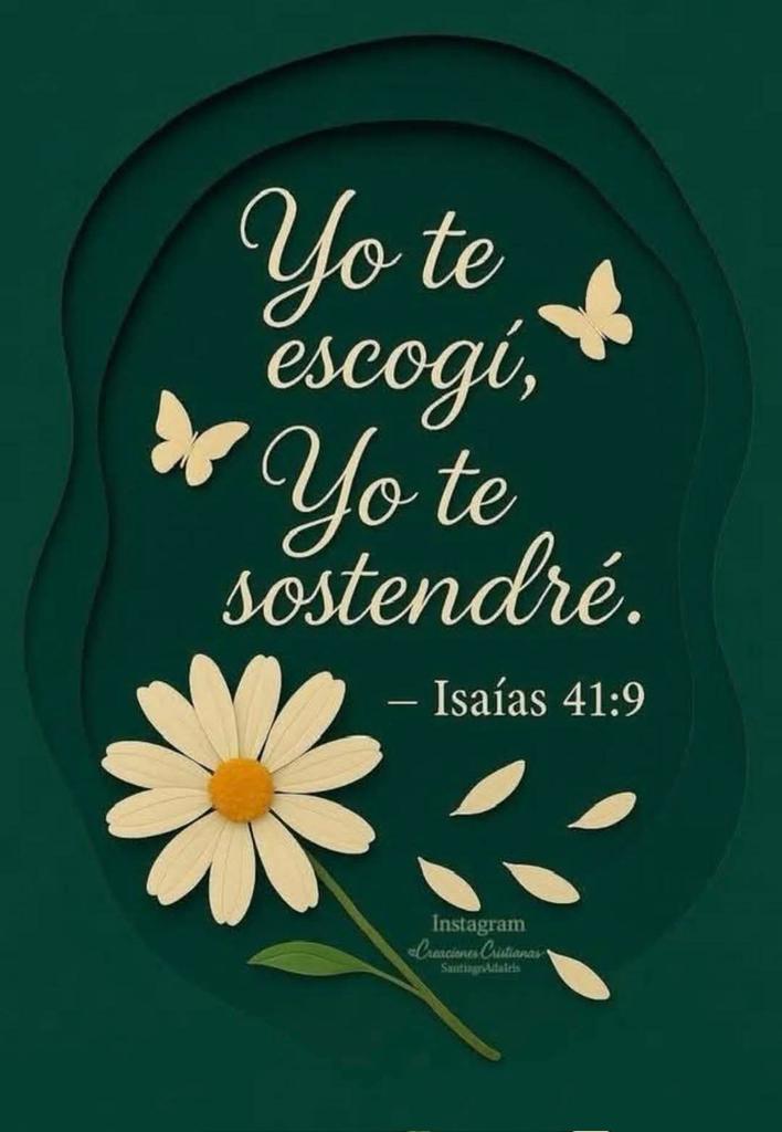 Maco_Rodas's tweet photo. 🌾 https://t.co/Rc7oWT1BXg