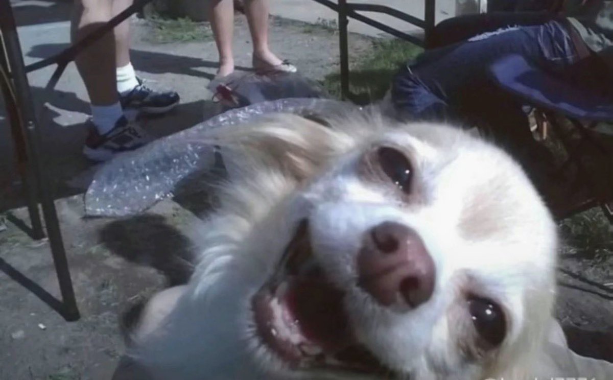 ordering an angel shot at the bar because it sounds like a cute drink