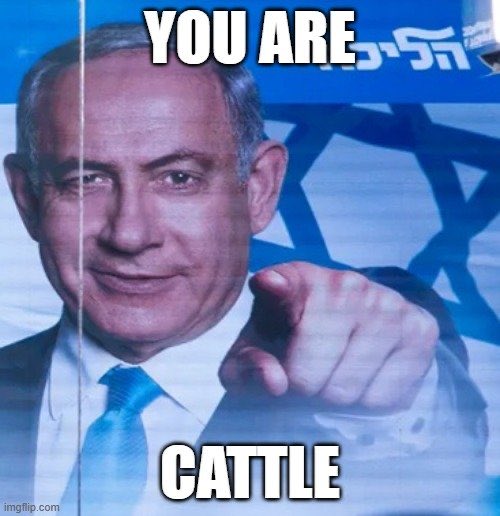 Original Creative Name tweet media