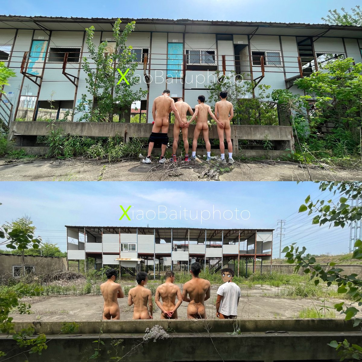 大白兔 tweet media