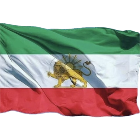 khodmehrad's tweet image. اکانت های کوچیک پادشاهی خواه و داخل تایم لاین میبینم که اکثرشون زیر 50 فالوور دارن ولی از اکانت های بزرگ به مراتب خیلی خیلی فعالترن دم شرفشون گرم که دارن زحمت می کشن از این ها باید حمایت کنیم تا بیشتر دیده بشن💚🤍♥️

#IranMassacre 
#IranRevolution2026 
#KingRezaPahlavi