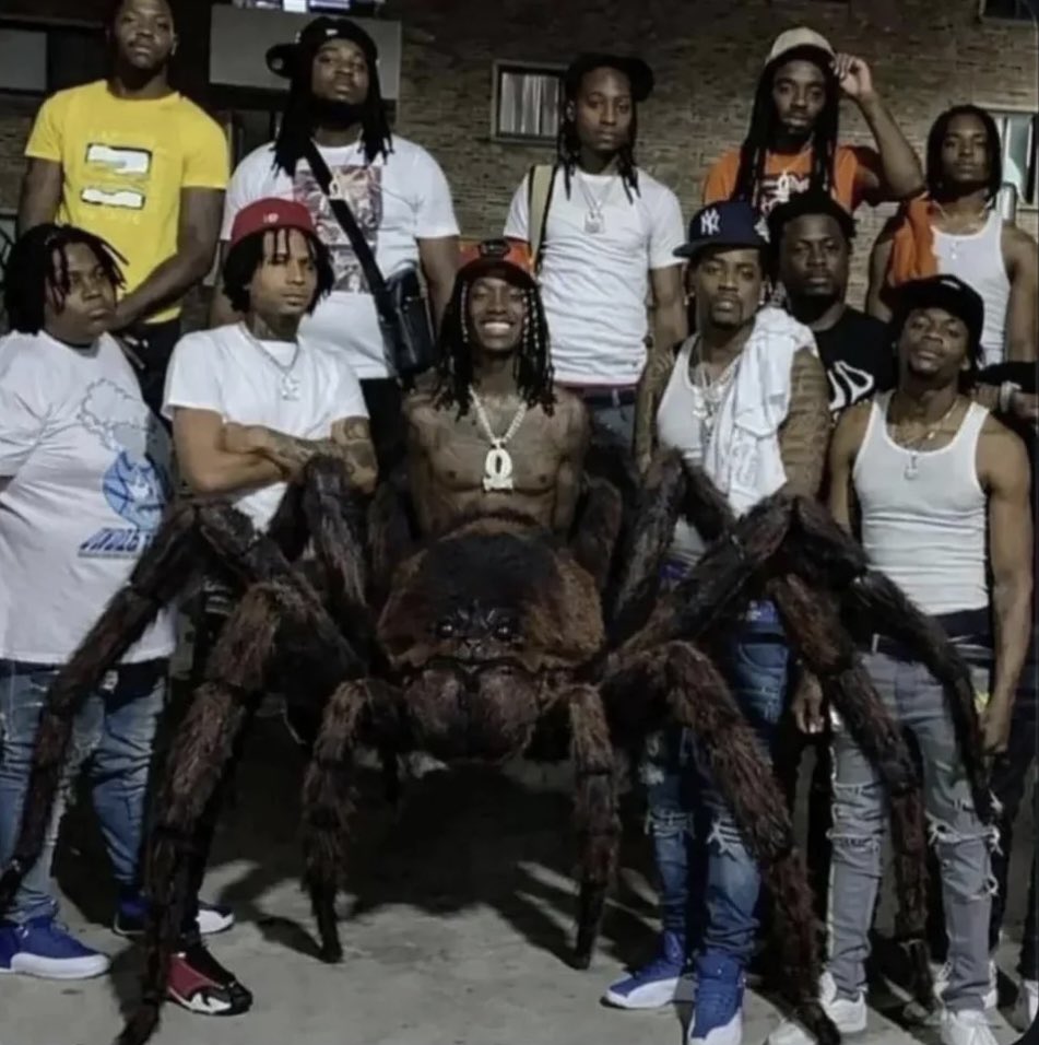 Bell Bearing Hunter tweet media