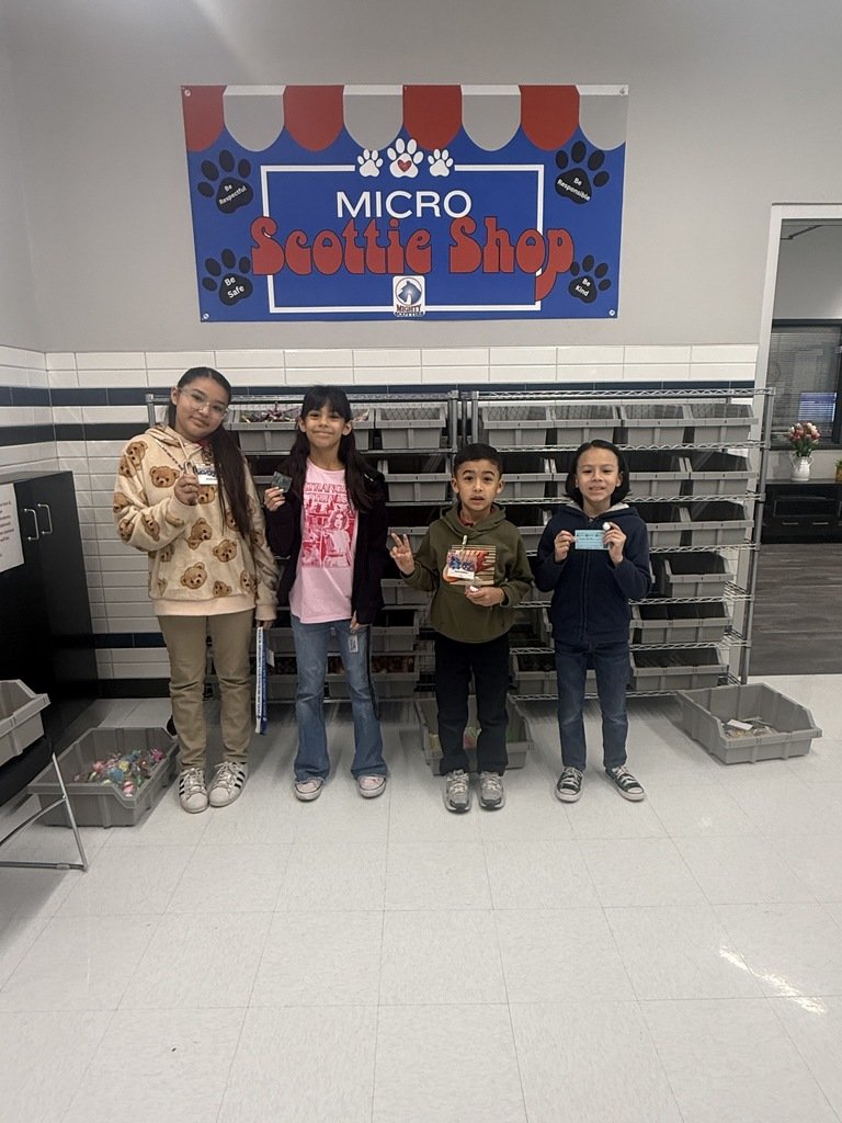 Sageland MicroSociety tweet media