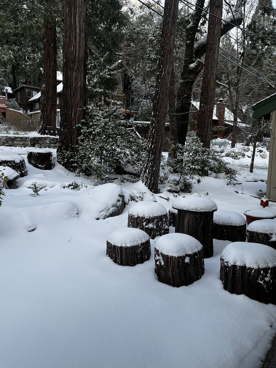 MetaTwyn.ron tweet media