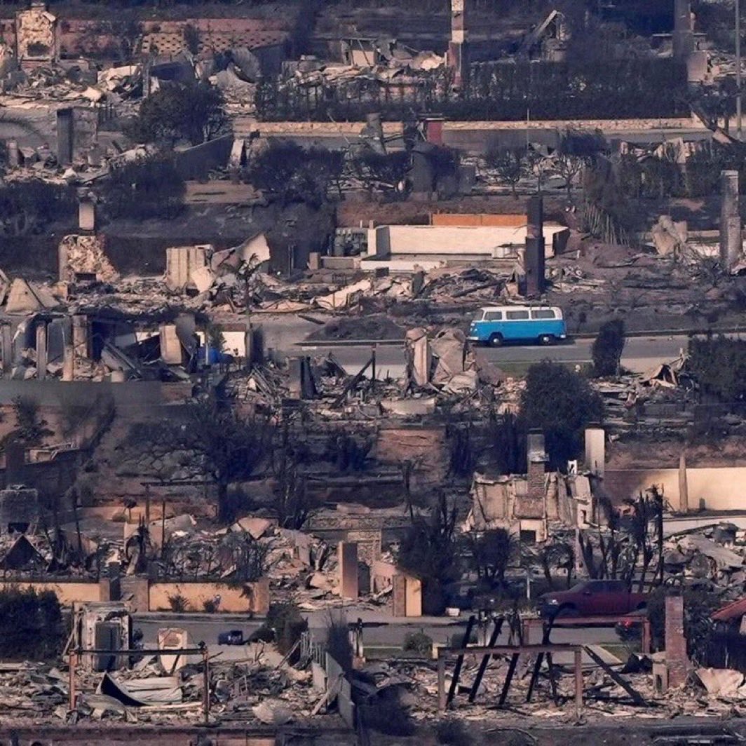 DogTown702's tweet image. Issue building permits for every resident that lost their house due to your incompetence.