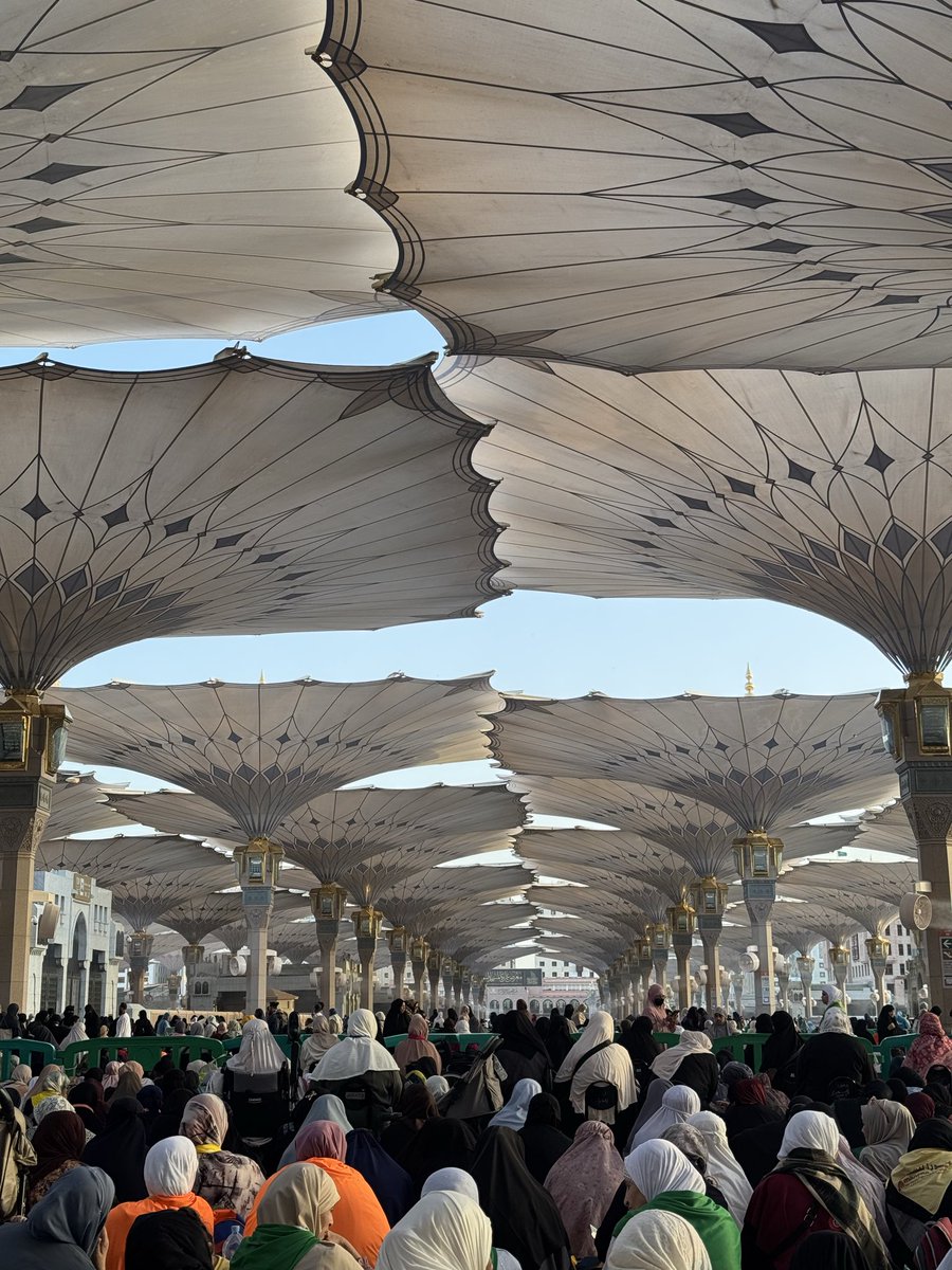 د. تُقى محمد tweet media