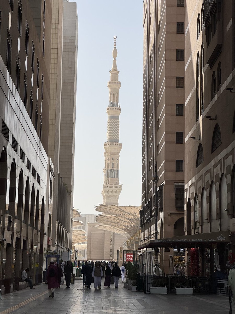 د. تُقى محمد tweet media