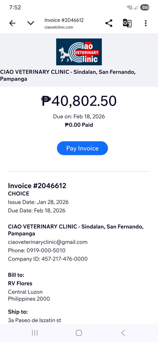 Gray And Siblings tweet media