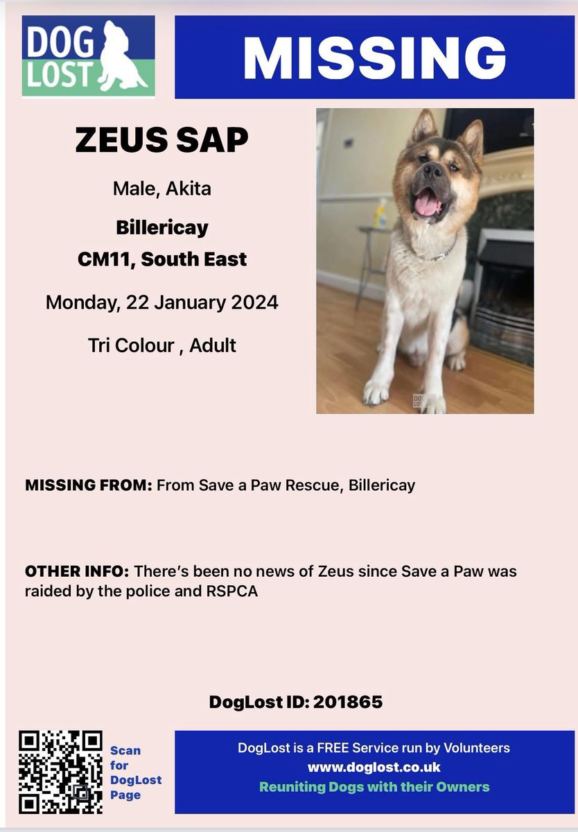 Have you seen Zeus? missing since #saveapaw in #Essex was raided by the police/RSPCA
did you adopt him?  
He could be anywhere and have a new name💥All we are asking is to know he is safe/loved, no one wants to take your dog away from you💥 
HAVE YOU SEEN ME PLS? 
<a href="/RachaelB100/">Rachael</a>
