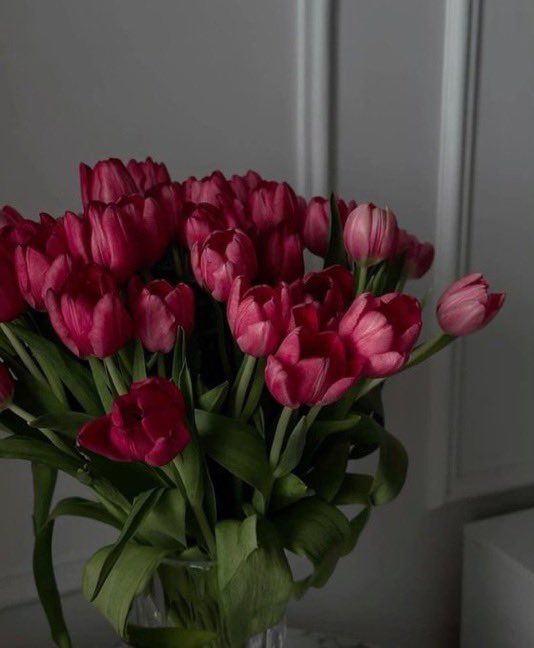 Tulips Library (@tulipslibrary) on Twitter photo 