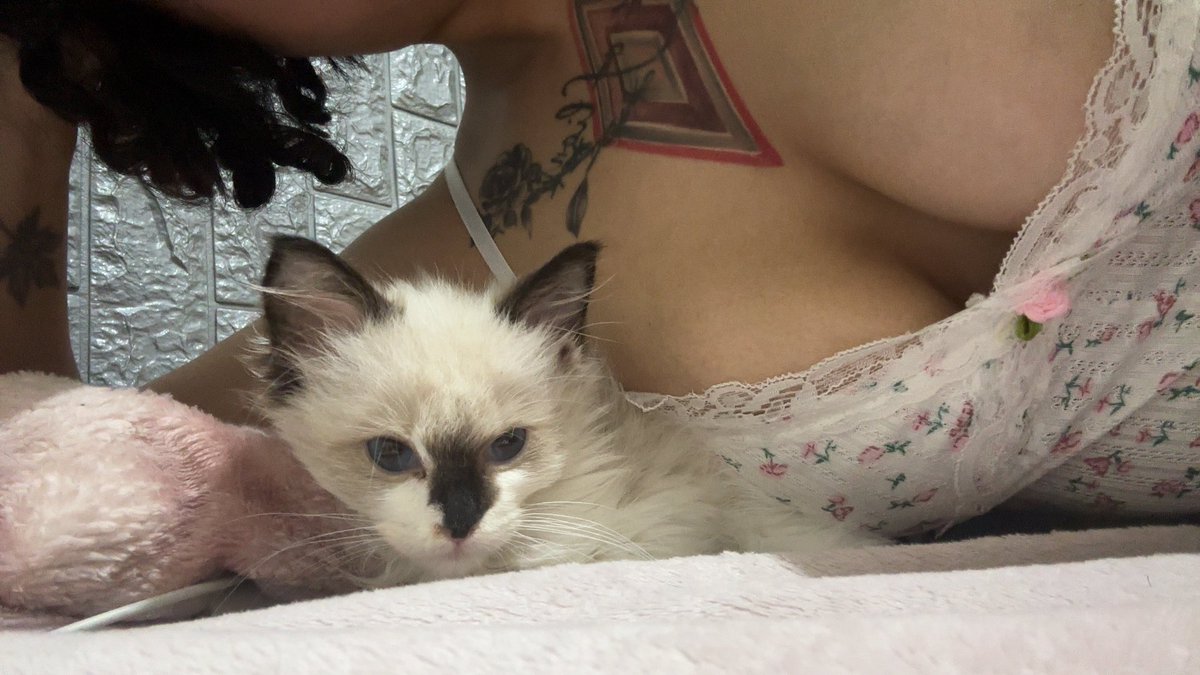 道德淪喪の小母狗 tweet media