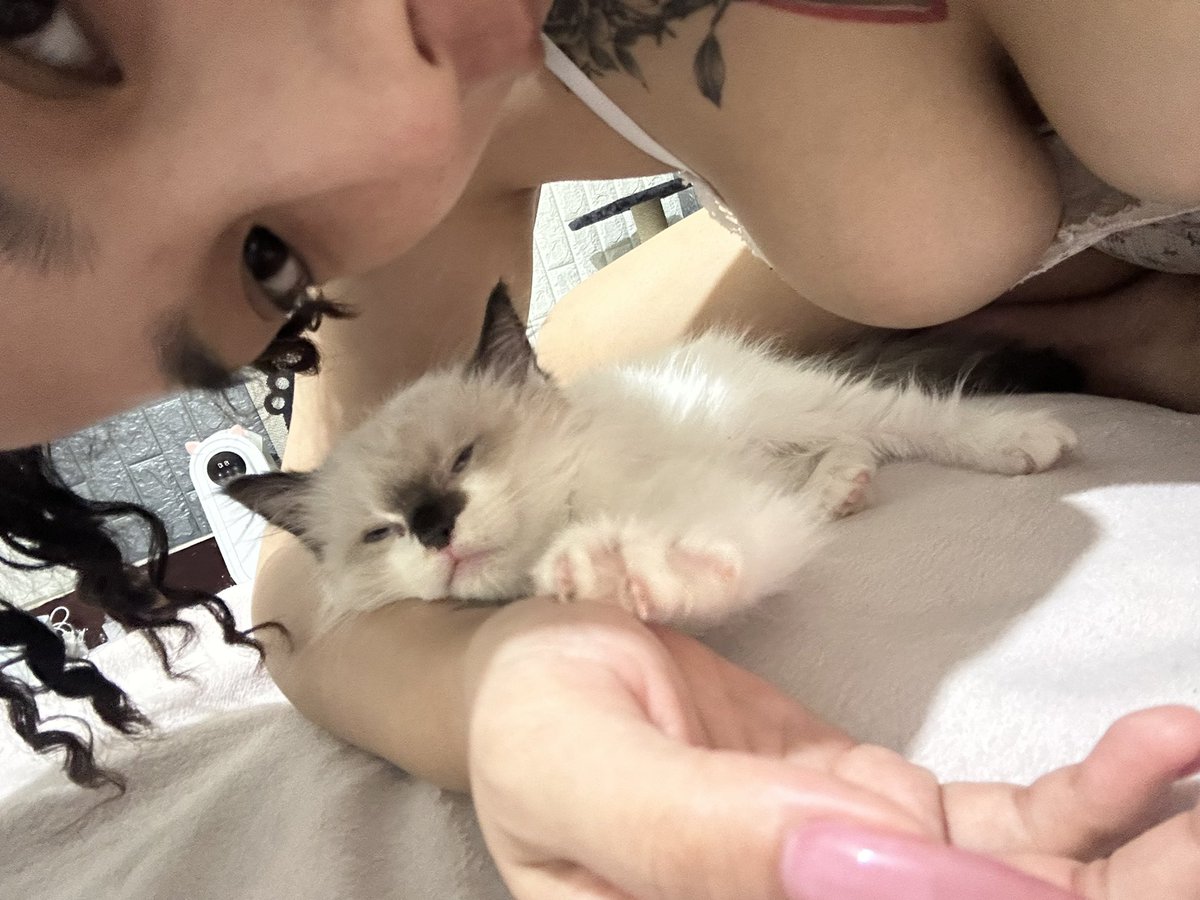 道德淪喪の小母狗 tweet media