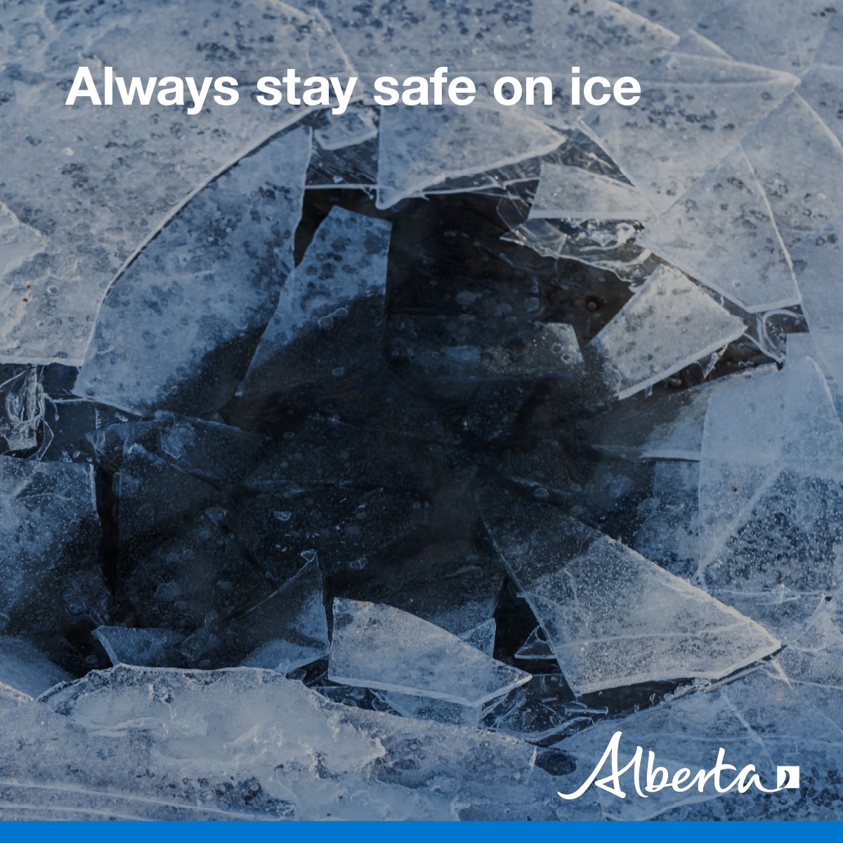 Alberta Fish and Wildlife Enforcement tweet media