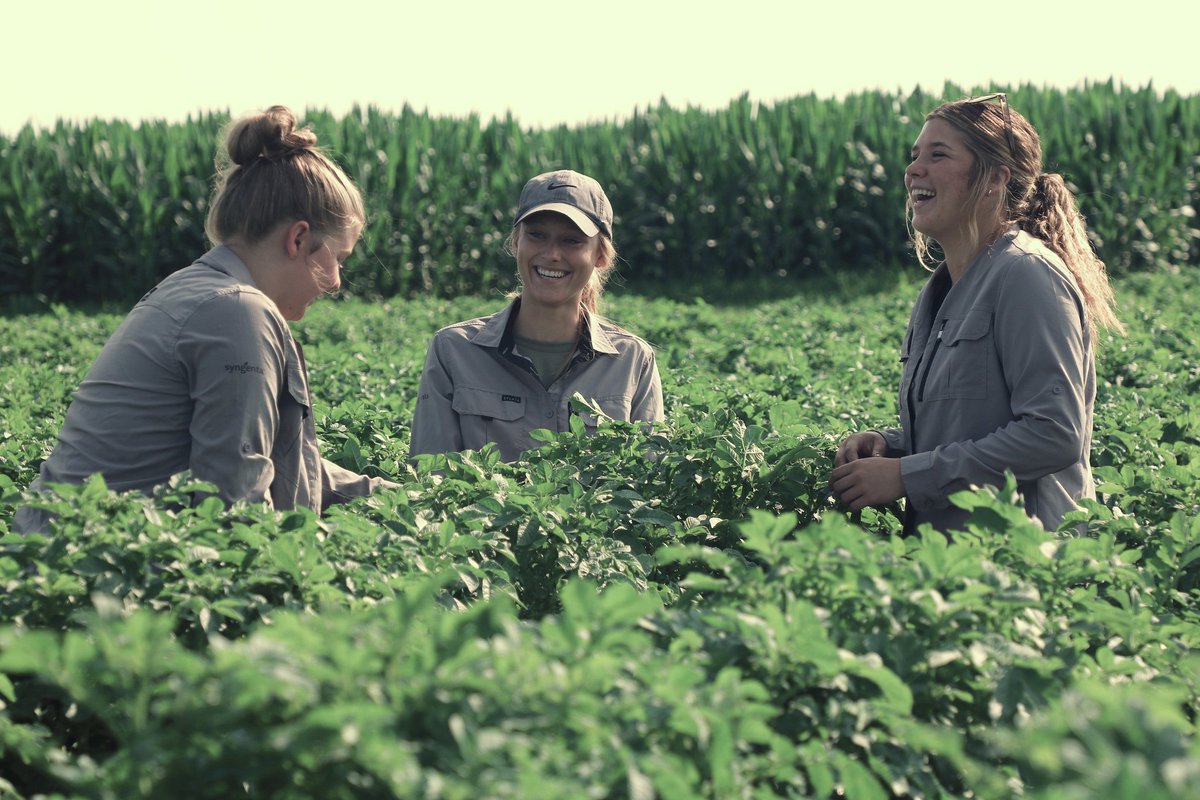 Syngenta Canada tweet media