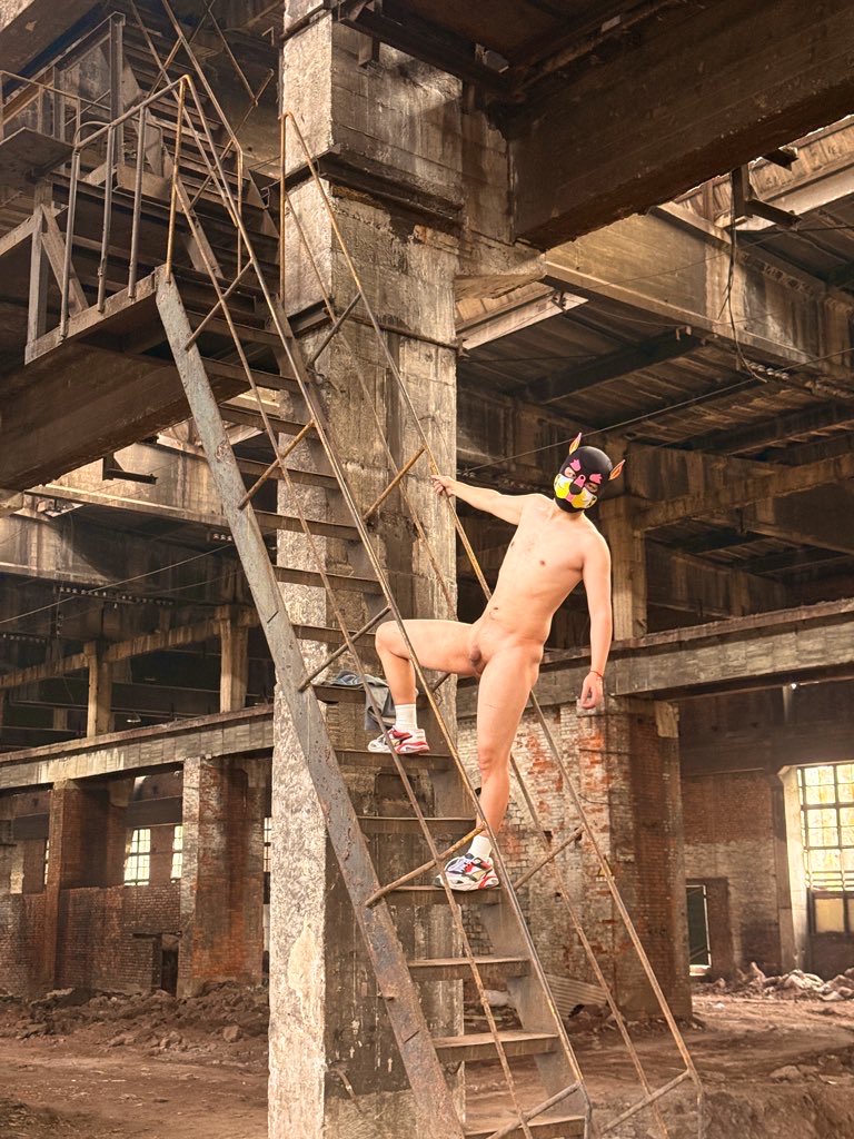 小狗阿诺（Arnotto） tweet media