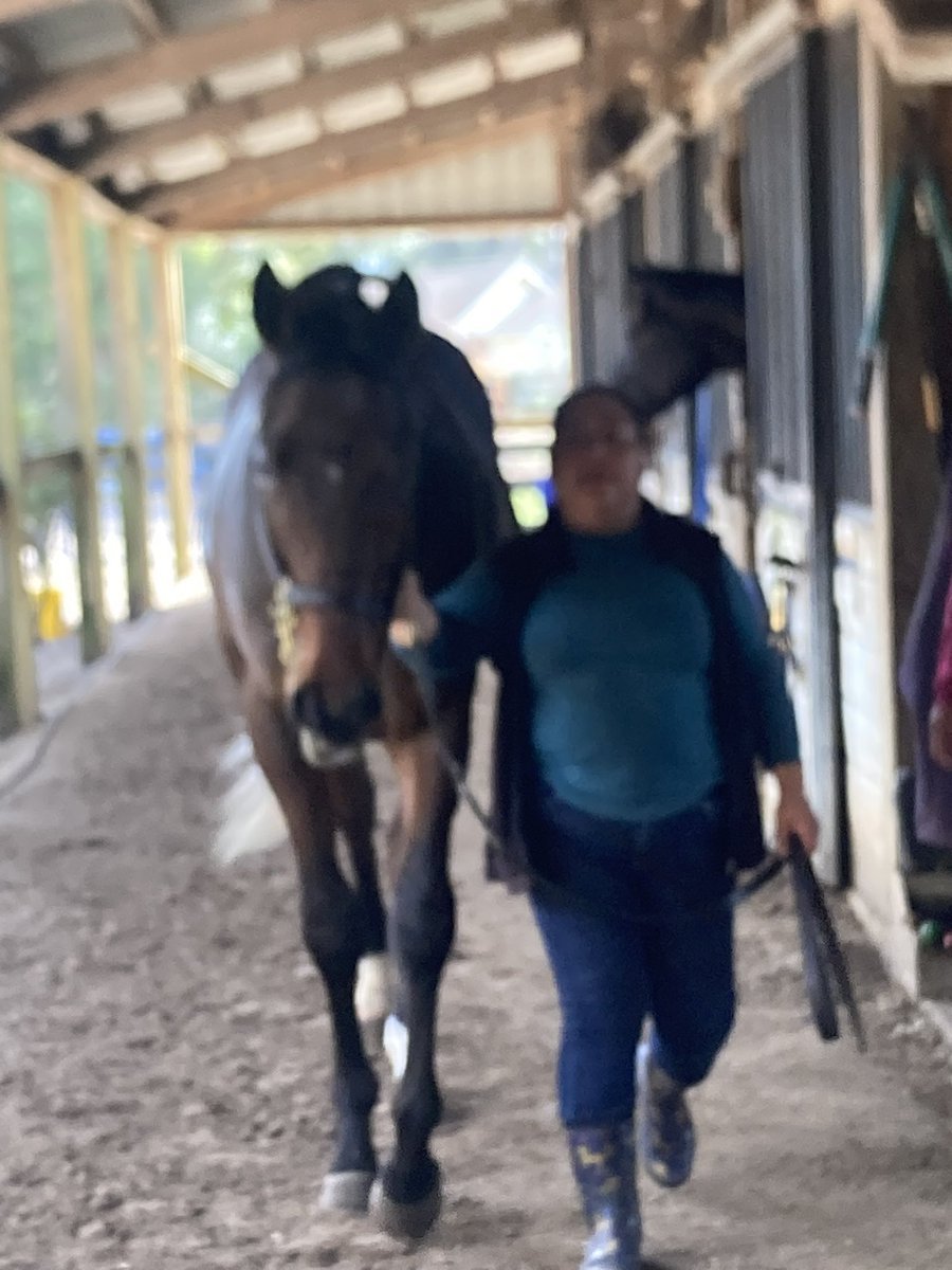 Seth Morris Thoroughbreds tweet media