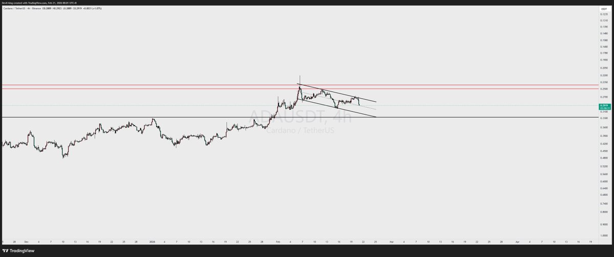 🇨🇳Frost tweet media