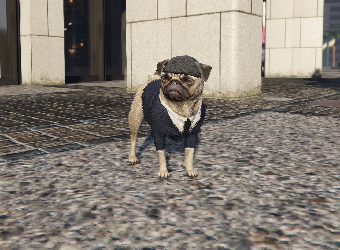 Nos estamos preparando ... 🛸