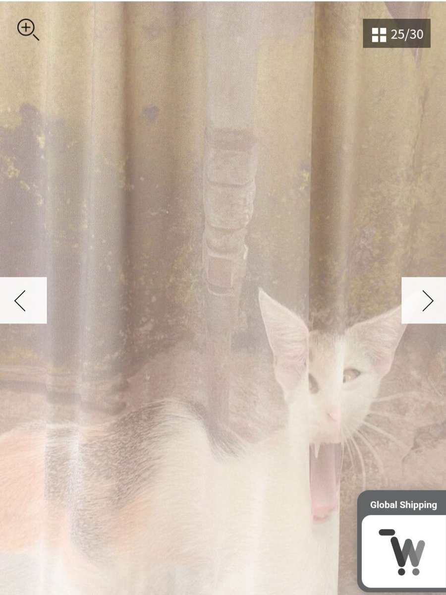 My favorite clothing brand recently put up preorders for their summer collection and I can't stop crying
This is amazing