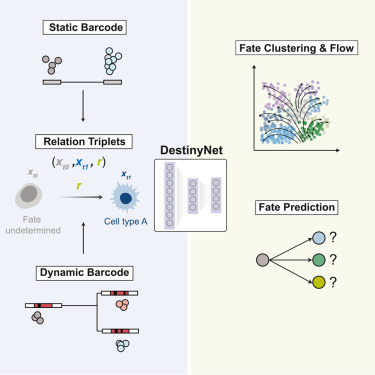 Patterns, a Cell Press journal tweet media