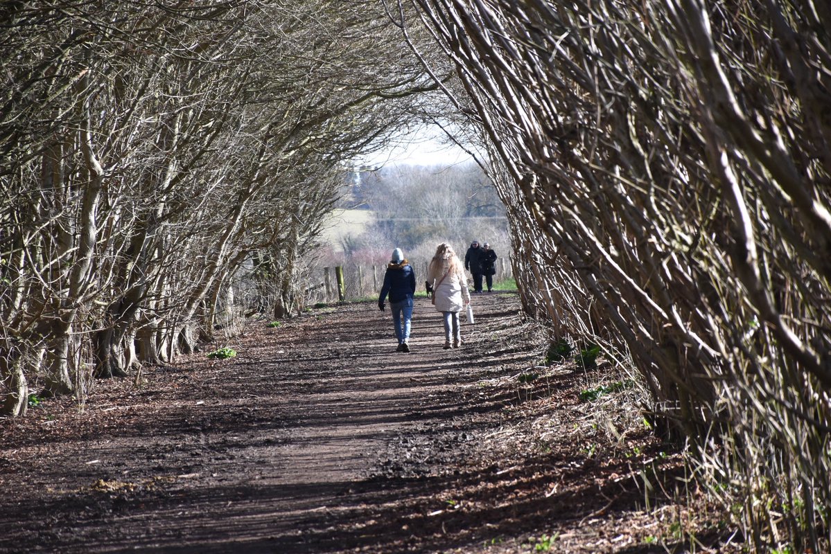 Further Winter Wanderings