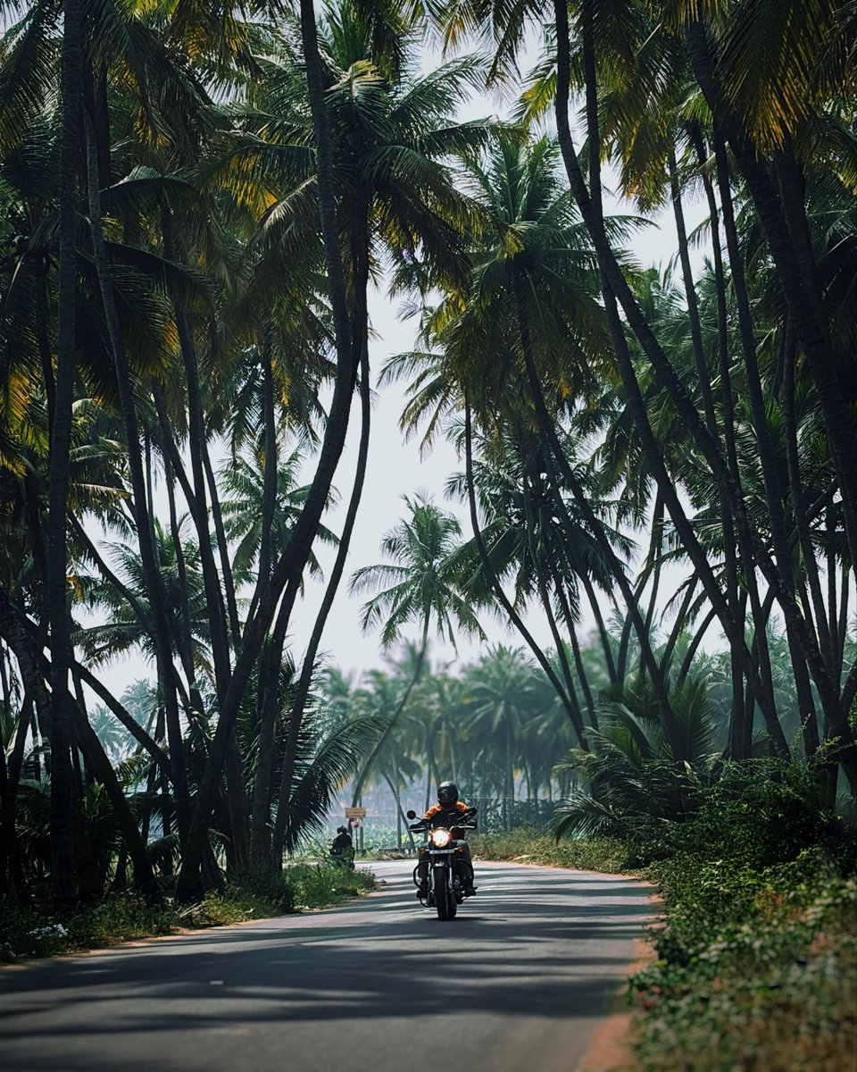 aswinkrishna47's tweet photo. Cumbum - Tamil Nadu https://t.co/sSPQpERPFW