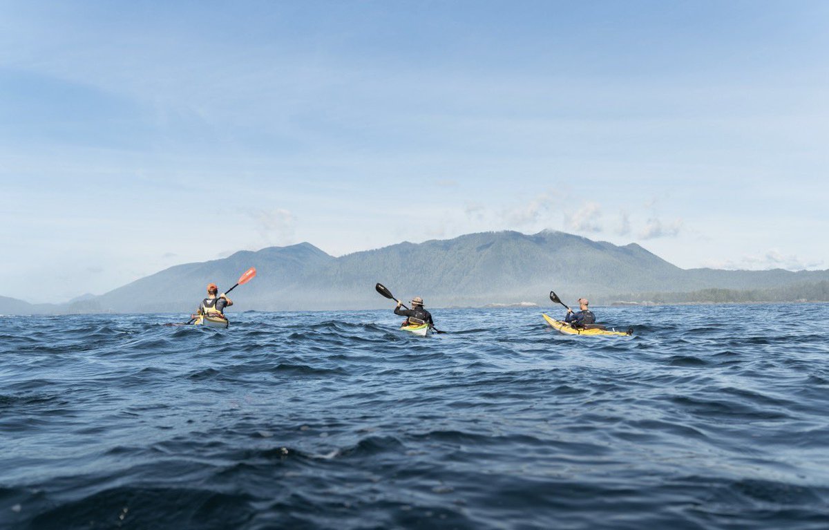 Long Beach Lodge tweet media