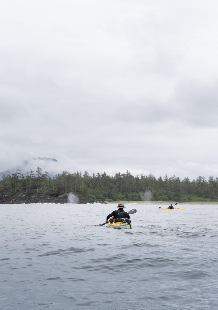 Long Beach Lodge tweet media